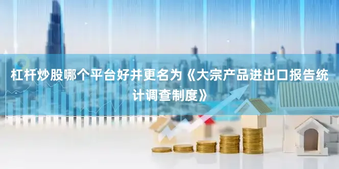 杠杆炒股哪个平台好并更名为《大宗产品进出口报告统计调查制度》