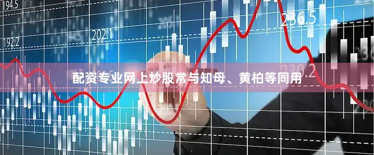配资专业网上炒股常与知母、黄柏等同用