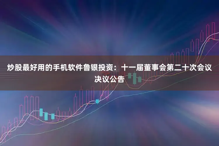 炒股最好用的手机软件鲁银投资：十一届董事会第二十次会议决议公告