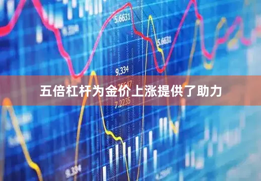 五倍杠杆为金价上涨提供了助力