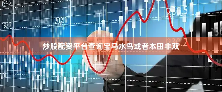 炒股配资平台查询宝马水鸟或者本田非双