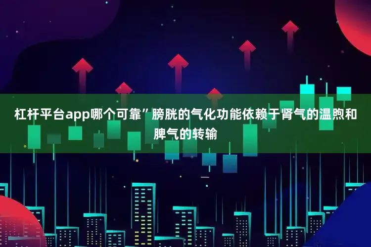 杠杆平台app哪个可靠”膀胱的气化功能依赖于肾气的温煦和脾气的转输