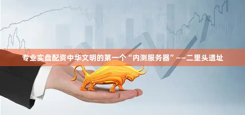 专业实盘配资中华文明的第一个“内测服务器”——二里头遗址